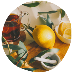 imagens site e cursos (38)