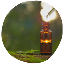 imagens site e cursos (39)