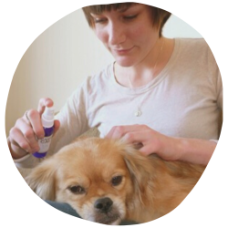 imagens site e cursos (41)