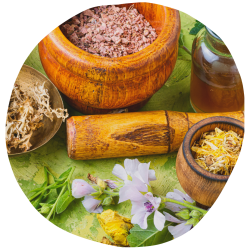 imagens site e cursos (45)