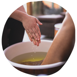 imagens site e cursos (48)