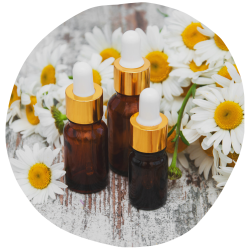 imagens site e cursos (52)