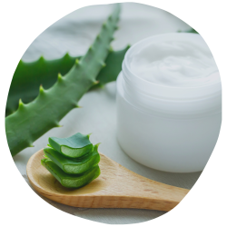 imagens site e cursos (58)